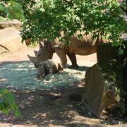 G7 Akademietag Zoo Osnabrueck