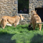 G7 Akademietag Zoo Osnabrueck