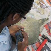 G2 Ferienkurs Museum am Schoelerberg