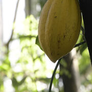 FachtagGemeinsamLernen