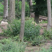 G3 - Erste Treffen nach dem Lock-Down