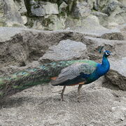 G3 - Erste Treffen nach dem Lock-Down