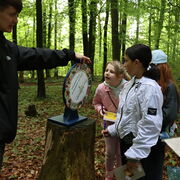 G7 Exkursion Wald