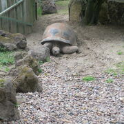 G3 - Erste Treffen nach dem Lock-Down