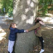 G2 Ferienkurs Museum am Schoelerberg